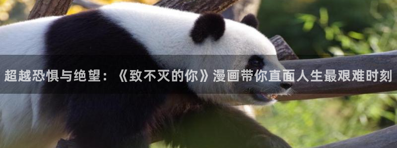虫虫漫画大全免费阅读