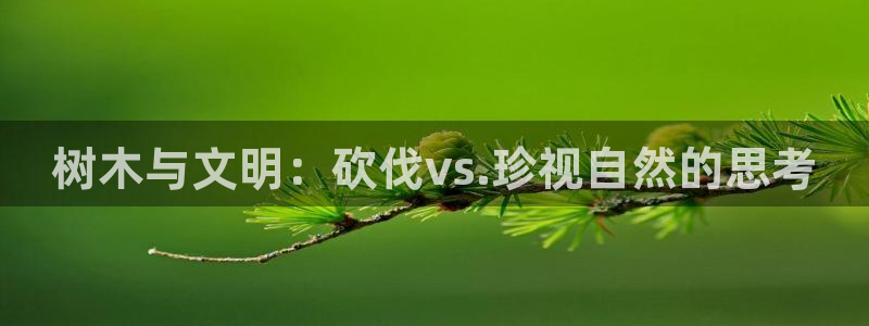 虫虫漫画免费漫画页面在线看漫画免费下载