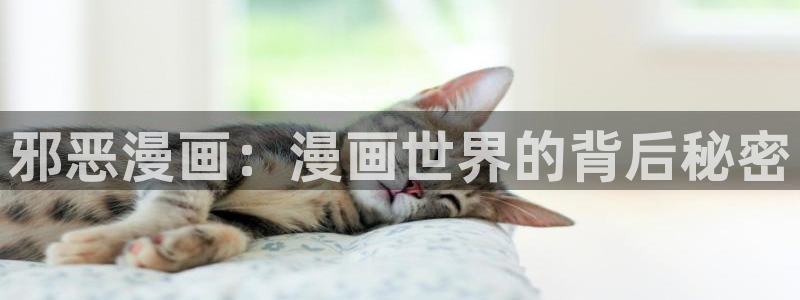 虫虫漫画app免费版