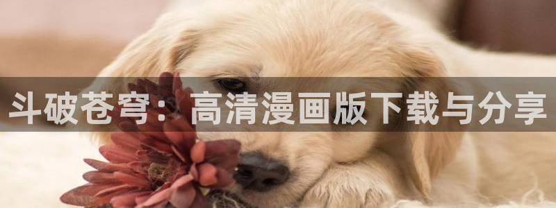 虫虫漫画网站免费
