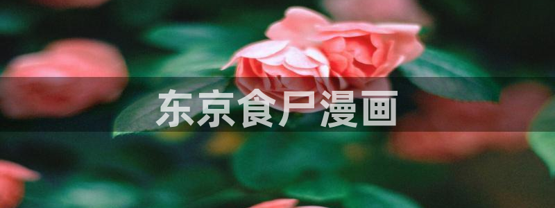 虫虫漫画.
