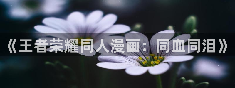 虫虫漫画网页版在线观看