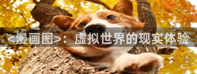 虫虫漫画网站免费入口