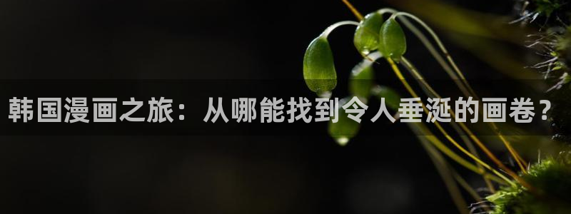 虫虫漫画网广而告之