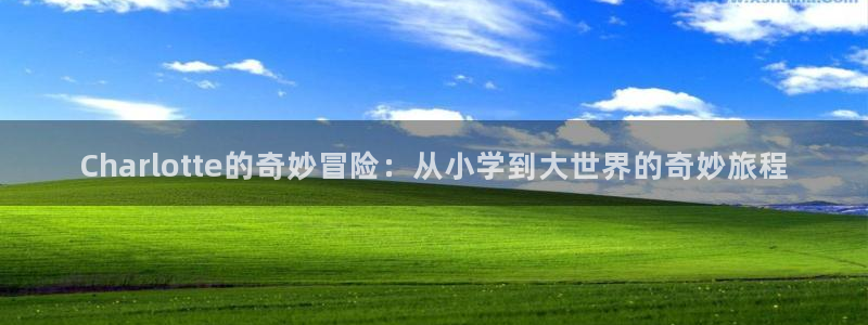 虫虫漫画在线阅读页面免费漫画入口