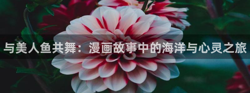 虫虫漫画最新