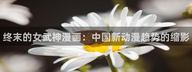 虫虫漫画免费漫画入口页面下载