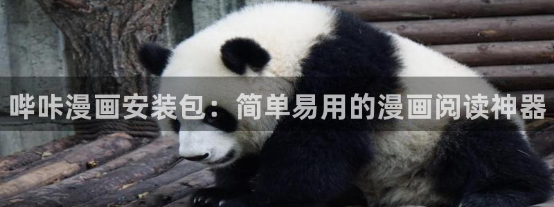 虫虫漫画在线观看网站：哔咔漫画安装包：简单易用的漫画阅读神器