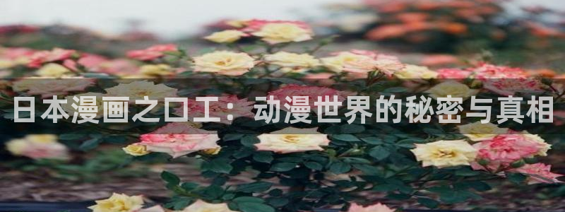 虫虫漫画免费观看页面：日本漫画之口工：动漫世界的秘密与真相