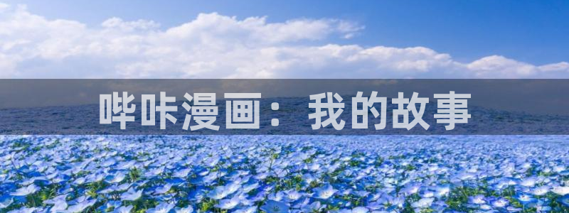 虫虫漫画网免费无删减：哔咔漫画：我的故事