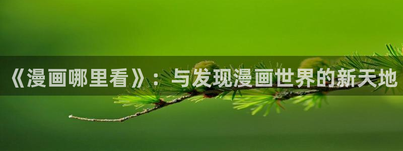 虫虫视频漫画：《漫画哪里看》：与发现漫画世界的新天地